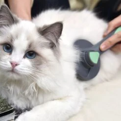 Pakeway Kattenborstel – Hondenborstel – Haarverwijderaar Voor Huisdieren – Kattenkam - Kortharig - Langharig - Inclusief Ebook! -Merkloos Winkel 1200x1200 140