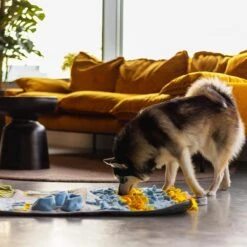 Snuffies Snuffelmat Jara 100x65cm - Snuffelmat – Snuffelmatten - Honden Speelgoed - Honden Speelgoed Intelligentie – Snuffelmat - Snuffelmat Hond - Snuffelmatten – Hersenwerk – Honden Speeltjes – Puppy - Puppy Speelgoed - Honden Denkspelletjes -Merkloos Winkel 1200x1200 1406