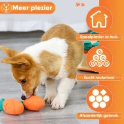 Premium Snuffelmat Voor Hond En Kat - Intelligentie Speelgoed - Snuffel Mat Puppy - IQ Hondenspeeltjes - Educatieve Training Huisdier - Snuffeltrainer Hondenpuzzel - Educatief Speelgoed - Vetalo -Merkloos Winkel 1200x1200 1418