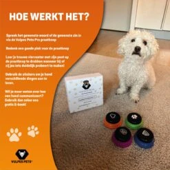 Vulpes Pets® PRO Praatknop Voor Honden Met Speelmat - Dogbuttons - Laat Uw Huisdier Spreken - Hondenspeelgoed - Honden Training - Inclusief E-Book En Speelmat 27 Vulpes Pets® PRO Praatknop Voor Honden Met Speelmat - Dogbuttons - Laat Uw Huisdier Spreken - Hondenspeelgoed - Honden Training - Inclusief E-Book En Speelmat -Merkloos Winkel 1200x1200 1439
