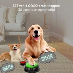 Comfort Company Praatknop Hond | Dogbuttons – Honden Speelgoed | Honden Speelgoed Intelligentie | 4 Stuks | Agility Voor De Hond | 30 Seconden Opnamen | Honden Training 16 Comfort Company Praatknop Hond | Dogbuttons – Honden Speelgoed | Honden Speelgoed Intelligentie | 4 Stuks | Agility Voor De Hond | 30 Seconden Opnamen | Honden Training -Merkloos Winkel 1200x1200 1444