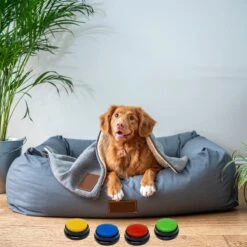 Comfort Company Praatknop Hond | Dogbuttons – Honden Speelgoed | Honden Speelgoed Intelligentie | 4 Stuks | Agility Voor De Hond | 30 Seconden Opnamen | Honden Training 19 Comfort Company Praatknop Hond | Dogbuttons – Honden Speelgoed | Honden Speelgoed Intelligentie | 4 Stuks | Agility Voor De Hond | 30 Seconden Opnamen | Honden Training -Merkloos Winkel 1200x1200 1445