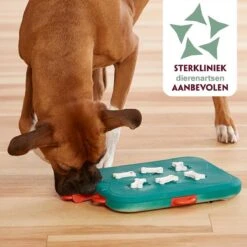 Nina Ottosson Dog Casino - Turquoise/Oranje - 31,5 X 26 X 4,5 Cm -Merkloos Winkel 1200x1200 1456