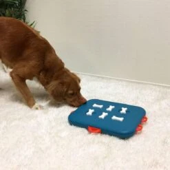 Nina Ottosson Dog Casino - Turquoise/Oranje - 31,5 X 26 X 4,5 Cm -Merkloos Winkel 1200x1200 1458