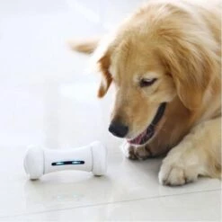 Wickedbone - Automatisch, Interactief En Intelligent Speelgoed Voor Honden - App & Bluetooth Bestuurbaar - USB Oplaadbaar -Merkloos Winkel 1200x1200 1464