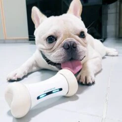 Cheerble Wickedbone|Automatisch Hondenspeeltje|Interactief En Intelligent Speelgoed Voor Honden|App & Bluetooth Bestuurbaar|USB Oplaadbaar 21 Cheerble Wickedbone|Automatisch Hondenspeeltje|Interactief En Intelligent Speelgoed Voor Honden|App & Bluetooth Bestuurbaar|USB Oplaadbaar -Merkloos Winkel 1200x1200 1470