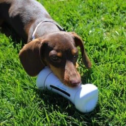 Cheerble Wickedbone|Automatisch Hondenspeeltje|Interactief En Intelligent Speelgoed Voor Honden|App & Bluetooth Bestuurbaar|USB Oplaadbaar 24 Cheerble Wickedbone|Automatisch Hondenspeeltje|Interactief En Intelligent Speelgoed Voor Honden|App & Bluetooth Bestuurbaar|USB Oplaadbaar -Merkloos Winkel 1200x1200 1472