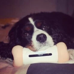Cheerble Wickedbone|Automatisch Hondenspeeltje|Interactief En Intelligent Speelgoed Voor Honden|App & Bluetooth Bestuurbaar|USB Oplaadbaar 25 Cheerble Wickedbone|Automatisch Hondenspeeltje|Interactief En Intelligent Speelgoed Voor Honden|App & Bluetooth Bestuurbaar|USB Oplaadbaar -Merkloos Winkel 1200x1200 1473
