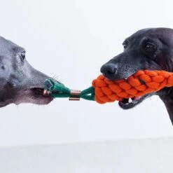 NufNuf - Hondenspeelgoed - Wortel - Stevig En Duurzaam Designspeelgoed -Merkloos Winkel 1200x1200 1483