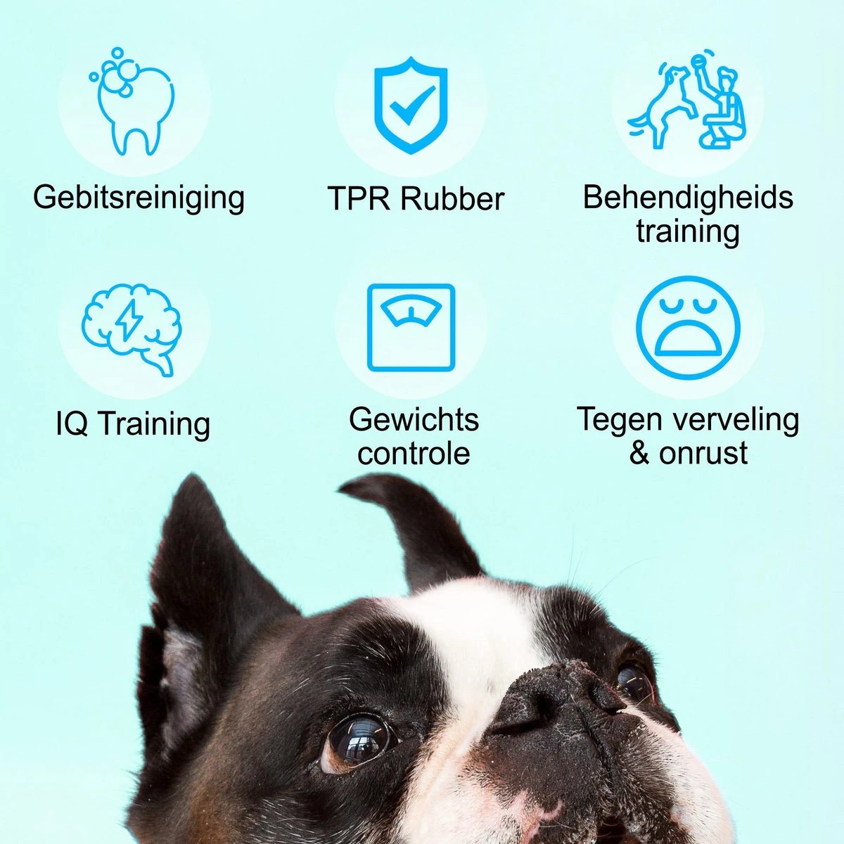 Merkloos Corn Dog Toothbrush - Honden Speelgoed - Hondenspeelgoed - Honden Tandenborstel - Gezond Dieet - Hondenspeeltje - Honden Speelgoed Intelligentie 4 Merkloos Corn Dog Toothbrush - Honden Speelgoed - Hondenspeelgoed - Honden Tandenborstel - Gezond Dieet - Hondenspeeltje - Honden Speelgoed Intelligentie - Afbeelding 2