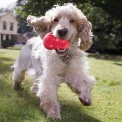 Kong Kauwbot - Hondenspeelgoed - Rood - L 26 Kong Kauwbot - Hondenspeelgoed - Rood - L -Merkloos Winkel 1200x1200 1486