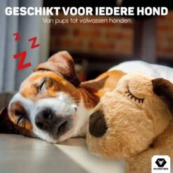 Vulpes Pets® Knuffel Hond Met Hartslag – Puppyknuffel - Hondenknuffel Voor Puppy - Snuggle Puppy - Knuffel Met Hartslag En Gratis Warmte Pad Speciaal Voor Puppy's -Merkloos Winkel 1200x1200 1505