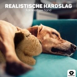Vulpes Pets® Knuffel Hond Met Hartslag – Puppyknuffel - Hondenknuffel Voor Puppy - Snuggle Puppy - Knuffel Met Hartslag En Gratis Warmte Pad Speciaal Voor Puppy's -Merkloos Winkel 1200x1200 1507