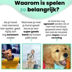 Petloverz – Honden Speelgoed Set – Honden Speeltjes – Knuffel - Speelgoed – Intelligentie – 15 Speeltjes 12 Petloverz – Honden Speelgoed Set – Honden Speeltjes – Knuffel - Speelgoed – Intelligentie – 15 Speeltjes -Merkloos Winkel 1200x1200 1523