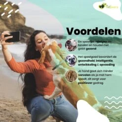 Petloverz – Honden Speelgoed Set – Honden Speeltjes – Knuffel - Speelgoed – Intelligentie – 15 Speeltjes 15 Petloverz – Honden Speelgoed Set – Honden Speeltjes – Knuffel - Speelgoed – Intelligentie – 15 Speeltjes -Merkloos Winkel 1200x1200 1525