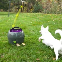 PetSafe Automatische Ballenwerper - Dierenspeelgoed 30 PetSafe Automatische Ballenwerper - Dierenspeelgoed -Merkloos Winkel 1200x1200 1530