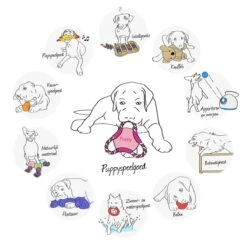 Kong Puppy Goodie Bone Small Small - 1 ST -Merkloos Winkel 1200x1200 1534