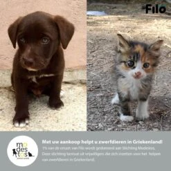 Filo Hondenknuffel Met Hartslag En Warmtebron - Hartslagknuffel Hondenspeelgoed Snuggle Puppy - Knuffel Met Hartslag - Heartbeat Knuffel Hond -Merkloos Winkel 1200x1200 1540