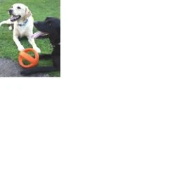 Happy Pet Grubber Interactieve Voetbal Blauw (18X18X18 CM) -Merkloos Winkel 1200x1200 1558