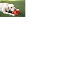 Happy Pet Grubber Interactieve Voetbal Blauw (18X18X18 CM) -Merkloos Winkel 1200x1200 1559