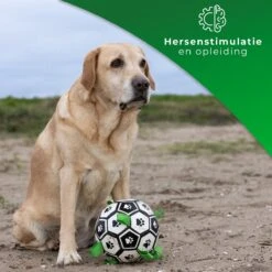 Honden Speelgoed Bal Voetbal Extra Sterk Met Handvaten Ball Hondenbal - 15 Cm - Dutchwide 18 Honden Speelgoed Bal Voetbal Extra Sterk Met Handvaten Ball Hondenbal - 15 Cm - Dutchwide -Merkloos Winkel 1200x1200 1567