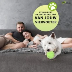 Petloverz Magic Roller Ball – Honden Speelgoed – Premium Automatische Rollende Bal -Merkloos Winkel 1200x1200 1574