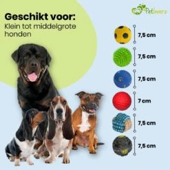 Petloverz Ballen Set - Honden Speelgoed - Intelligentie - Ballen - 6 Stuks 10 Petloverz Ballen Set - Honden Speelgoed - Intelligentie - Ballen - 6 Stuks -Merkloos Winkel 1200x1200 1580