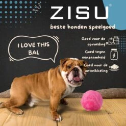 Merkloos Magic Roller Ball – Honden Speelgoed – Kattenspeeltjes - Honden Speeltjes - Kattenspeelgoed - INCLUSIEF BATTERIJ -Merkloos Winkel 1200x1200 1593