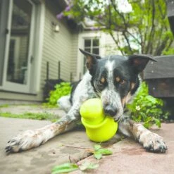 West Paw Toppl Zogoflex - Uitdagend En Sterk Speelgoed Voor Honden - Slowfeeder - Vulbaar Met Voer Of Snacks - Kleur: Groen, Maat: Large 23 West Paw Toppl Zogoflex - Uitdagend En Sterk Speelgoed Voor Honden - Slowfeeder - Vulbaar Met Voer Of Snacks - Kleur: Groen, Maat: Large -Merkloos Winkel 1200x1200 1599