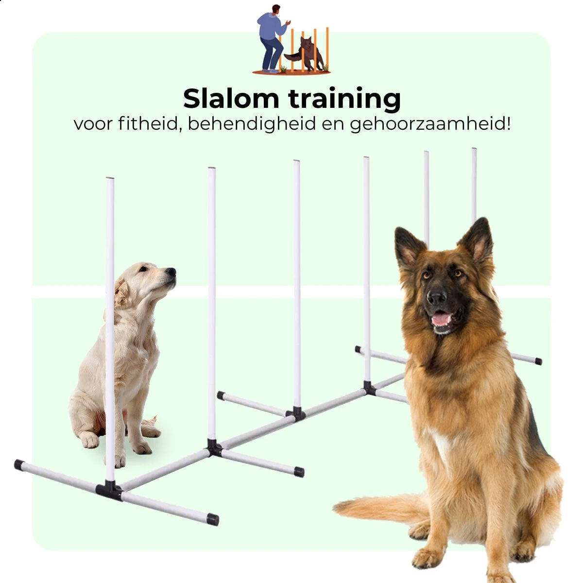 AYOO Agility Voor De Hond - Honden Training - Honden Behendigheid Set - Hondenparcours - Training Huisdieren - Honden Agility Set - Slalom - Horde - Draagzak - Agility Set - Oranje - Wit - GRATIS Speeltouw 7 AYOO Agility Voor De Hond - Honden Training - Honden Behendigheid Set - Hondenparcours - Training Huisdieren - Honden Agility Set - Slalom - Horde - Draagzak - Agility Set - Oranje - Wit - GRATIS Speeltouw - Afbeelding 5