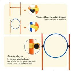 AYOO Agility Voor De Hond - Honden Agility Set - Honden Training - Honden Behendigheid Set - Honden Parcours - Training Huisdieren - Tunnel - Slalom - Horde - Draagzak - 21 Delig - GRATIS Speeltouw 12 AYOO Agility Voor De Hond - Honden Agility Set - Honden Training - Honden Behendigheid Set - Honden Parcours - Training Huisdieren - Tunnel - Slalom - Horde - Draagzak - 21 Delig - GRATIS Speeltouw -Merkloos Winkel 1200x1200 1615