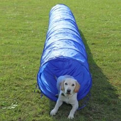 Agility Voor De Hond - Agility Set- Hondentunnel 300 Cm- Slalom Set - Horde - Startveld - Honden Behendigheidsset - 16 Delig - Tunnel - Slalom - Horde - Agility Set Voor De Hond - Agility Set -Merkloos Winkel 1200x1200 1628