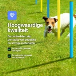 Tavaro Agility Voor De Hond - Honden Training - Hondentunnel - Springhoepel - Horde - Slalom - Honden Behendigheid Trainingsset -Merkloos Winkel 1200x1200 1633