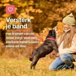 Tavaro Agility Voor De Hond - Honden Training - Hondentunnel - Springhoepel - Horde - Slalom - Honden Behendigheid Trainingsset -Merkloos Winkel 1200x1200 1634