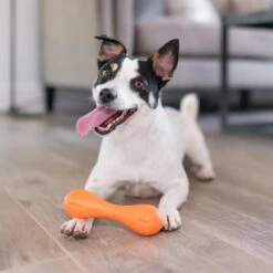 West Paw Zogoflex Hurley - Super Sterk Kauwbot Voor Honden - Kleur: Blauw, Maat: Large -Merkloos Winkel 1200x1200 1635