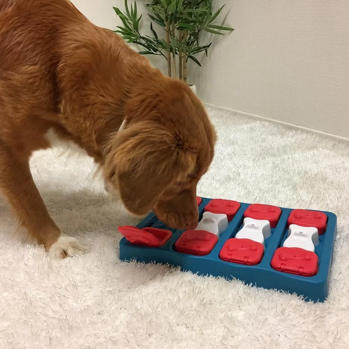 Nina Ottosson - Hondenspel - Dog Brick 6 Nina Ottosson - Hondenspel - Dog Brick - Afbeelding 4