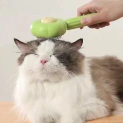 QT Petshop - Haarverwijderaar Voor Huisdieren - Groene Kattenborstel - Furminator Hondenborstel - Anti-Klit - Diervriendelijk - Dierenverzorging -Merkloos Winkel 1200x1200 165