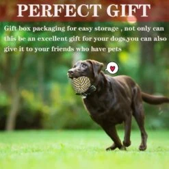 Nobleza Honden Speelgoed Set PLJ - 10 Stuks -Merkloos Winkel 1200x1200 1655