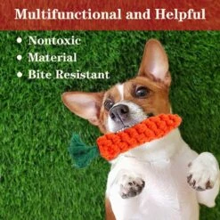 Nobleza Honden Speelgoed Set PLJ - 10 Stuks -Merkloos Winkel 1200x1200 1656