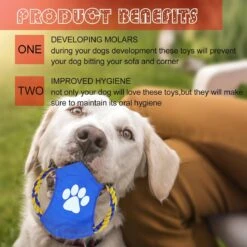 Nobleza Honden Speelgoed Set PLJ - 10 Stuks -Merkloos Winkel 1200x1200 1657