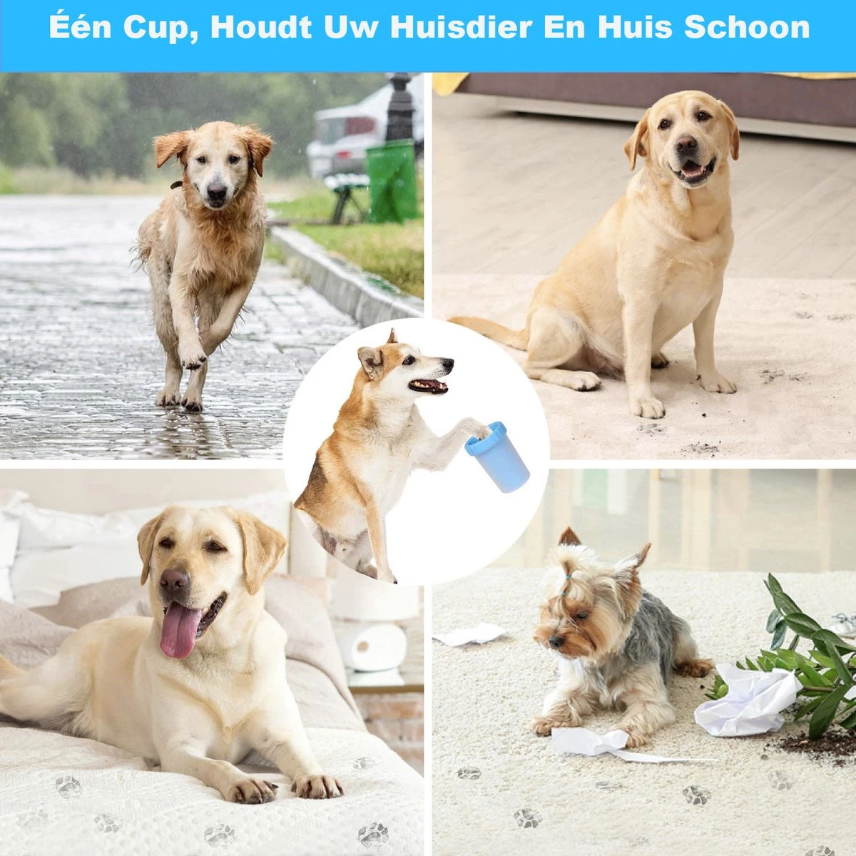 Merkloos Hondenpoot Reiniger - Hondenborstel - Borstel Hond / Kat - Hondenpoten Reiniger - Huisdier Poot Wassen - Borstel - Hondenverzorging - Verzorging Hond - Honden Wassen - Schoonmaak Borstel - Kattenborstel 5 Merkloos Hondenpoot Reiniger - Hondenborstel - Borstel Hond / Kat - Hondenpoten Reiniger - Huisdier Poot Wassen - Borstel - Hondenverzorging - Verzorging Hond - Honden Wassen - Schoonmaak Borstel - Kattenborstel - Afbeelding 3