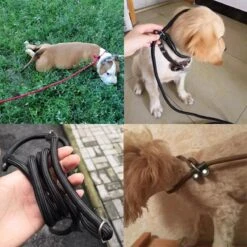 LOUZIR Cesar Millan Sliplijn Met Stop - Hondenriem - Rood - 130 Cm -Merkloos Winkel 1200x1200 1736