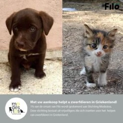 Filo Elastische Hondenriem Groot - Hardlopen En Wandelen - Hardloopriem Hond Handsfree Met Heuptasje - Looplijn Met Heupriem - Canicross Gordel Honden - Riemen - Heupgordel - Leiband -Merkloos Winkel 1200x1200 1758