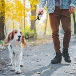 Hondenriem Tape - 5 Meter - Medium - Voor Honden <25 Kg - Zwart-Wit -Merkloos Winkel 1200x1200 1765