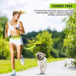 Hondenriem Hardloopriem Elastische Reflecterende Geschikt Voor Hardlopen - Handsfree Riem Met Opbergtasje – Hond Looplijn - Schokabsorberend - Groen -Merkloos Winkel 1200x1200 1768