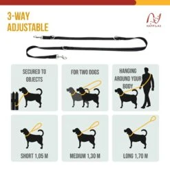 Happilax Dog Leash 2m Adjustable - Black/Reflective - 3-Step Adjustable Leash - Double Leash, Tug Leash - Geschikt Als Hondenriem Voor Grote Honden Of Als Sleepriem Voor Kleine Honden. 10 Happilax Dog Leash 2m Adjustable - Black/Reflective - 3-Step Adjustable Leash - Double Leash, Tug Leash - Geschikt Als Hondenriem Voor Grote Honden Of Als Sleepriem Voor Kleine Honden. -Merkloos Winkel 1200x1200 1773