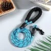 Merkloos Reflecterende Hondenriem - Nylon Hondenlijn – Honden Riem Met Soft Handvat – Blauw – 150CM -Merkloos Winkel 1200x1200 1786