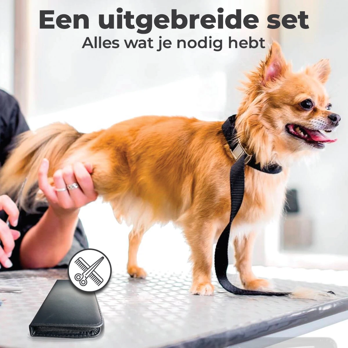 VoordeelShop 7-Delige Huisdier Knipset Met Etui - Trimmen Hond - Honden Schaar - Effileerschaar Hond - Huisdier Trimmer - Huisdier Knippen - Knipschaar Haar - Haar Schaar - Kapper - Kapperset - Scharenset 18 VoordeelShop 7-Delige Huisdier Knipset Met Etui - Trimmen Hond - Honden Schaar - Effileerschaar Hond - Huisdier Trimmer - Huisdier Knippen - Knipschaar Haar - Haar Schaar - Kapper - Kapperset - Scharenset - Afbeelding 16