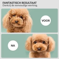 Hondenföhn/Waterblazer - Verstelbare Vermogen Standen (500W Tot 2400W) En Verstelbare Temperatuur - Zwart 15 Hondenföhn/Waterblazer - Verstelbare Vermogen Standen (500W Tot 2400W) En Verstelbare Temperatuur - Zwart -Merkloos Winkel 1200x1200 213