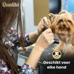 Merkloos Professionele Honden Tondeuse Set - Tondeuse Voor Huisdier Honden En Katten - Hondentrimmer - Hondentondeuse 14 Merkloos Professionele Honden Tondeuse Set - Tondeuse Voor Huisdier Honden En Katten - Hondentrimmer - Hondentondeuse -Merkloos Winkel 1200x1200 221
